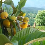 Bed & Breakfast Chambre D'Hote La Chataigneraie *