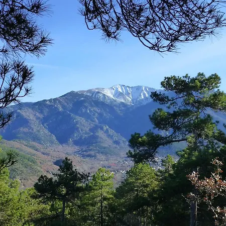 La Chataigneraie Bed & Breakfast *